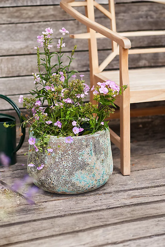 Barnacle Lucy Planter