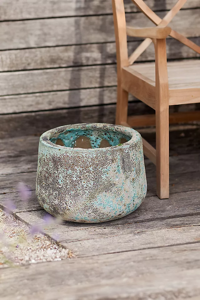 Barnacle Lucy Planter