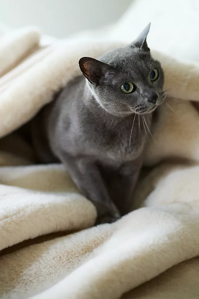 The Sophie Faux Fur Throw Blanket