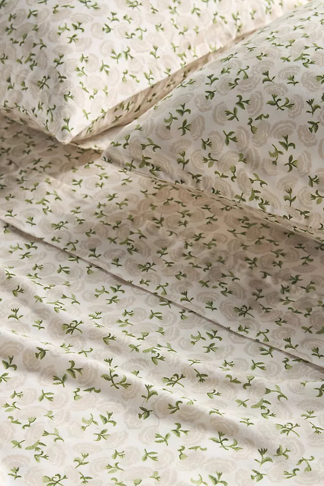 Cotton Modal Brushed Cozy Printed Sheet Set