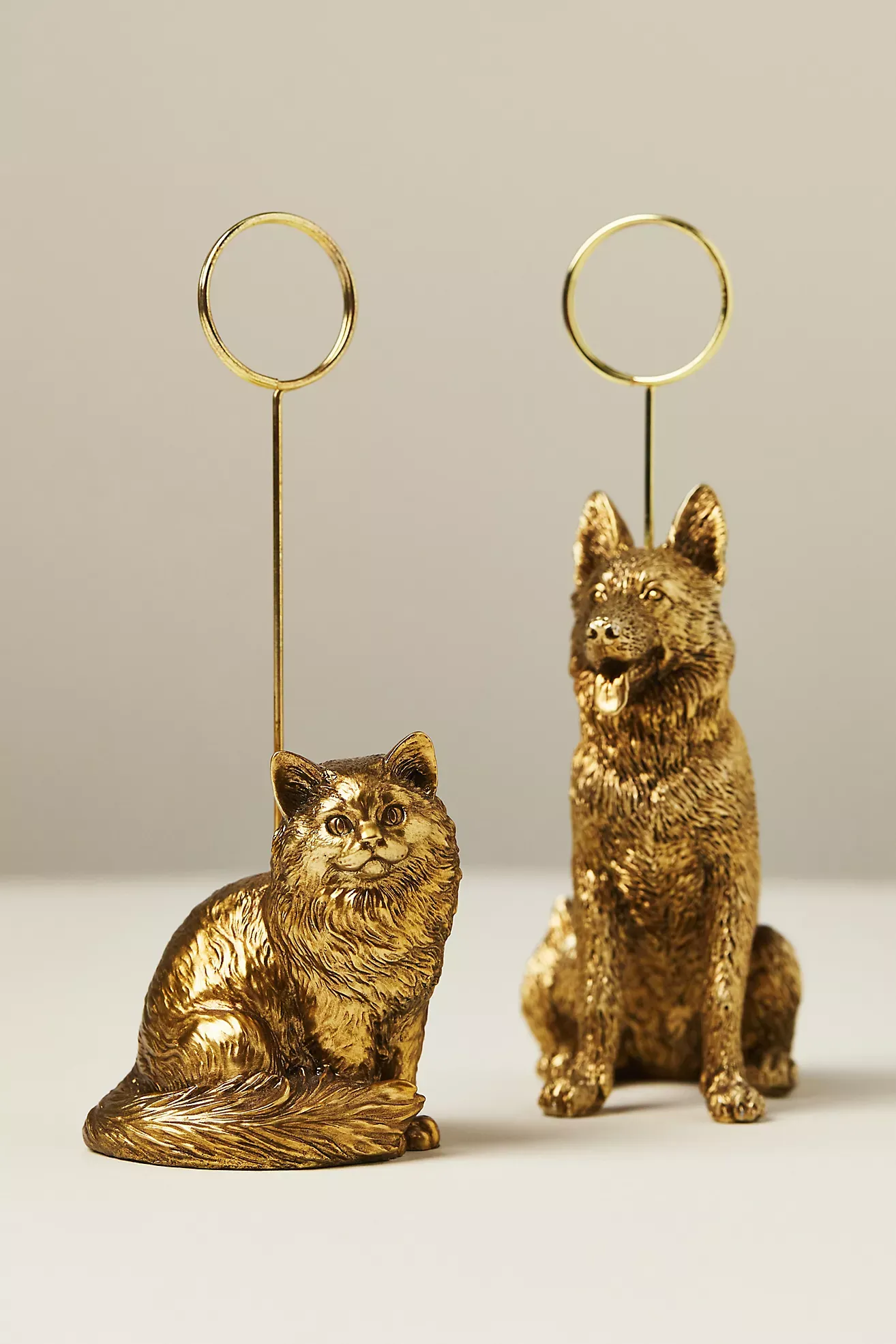 Animal Icon Photo Holder: Dog Edition