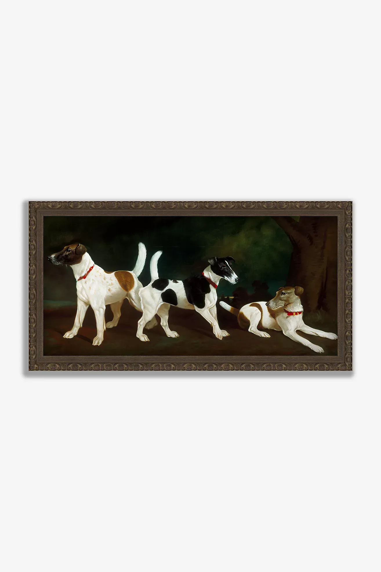Untitled Dog Wall Art