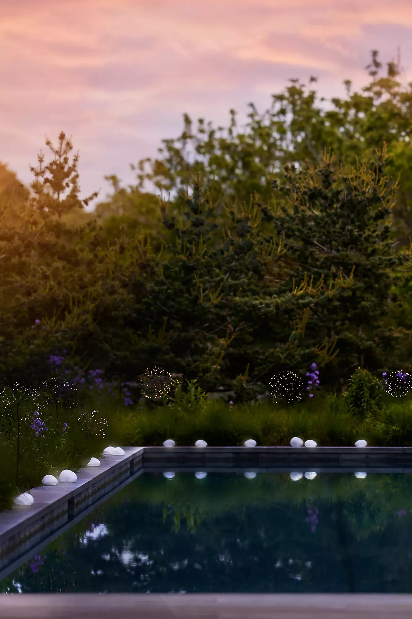 Solar Dandelion LED Stake Light