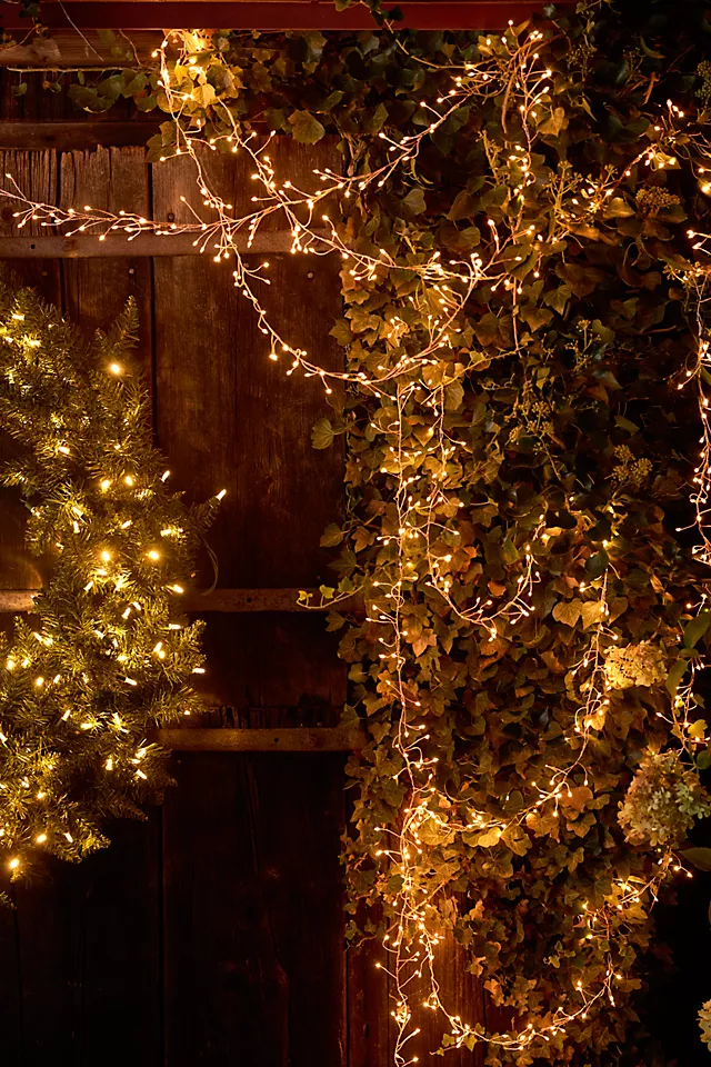 Stargazer Twinkling Tendril Vine Lights