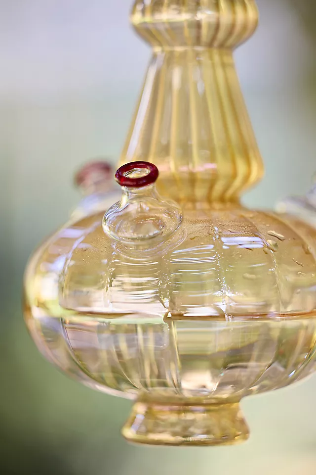 Glass Hummingbird Feeder