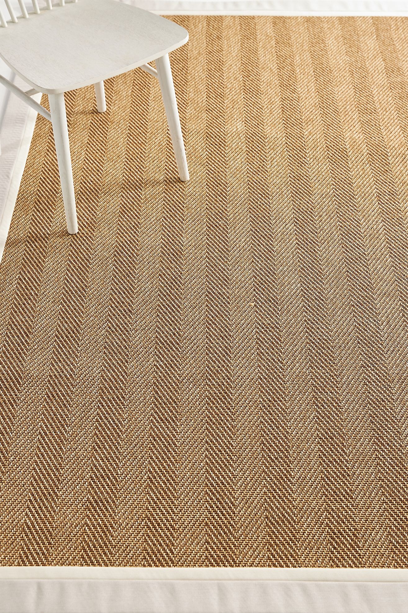 Flatwoven Double Border Performance Rug