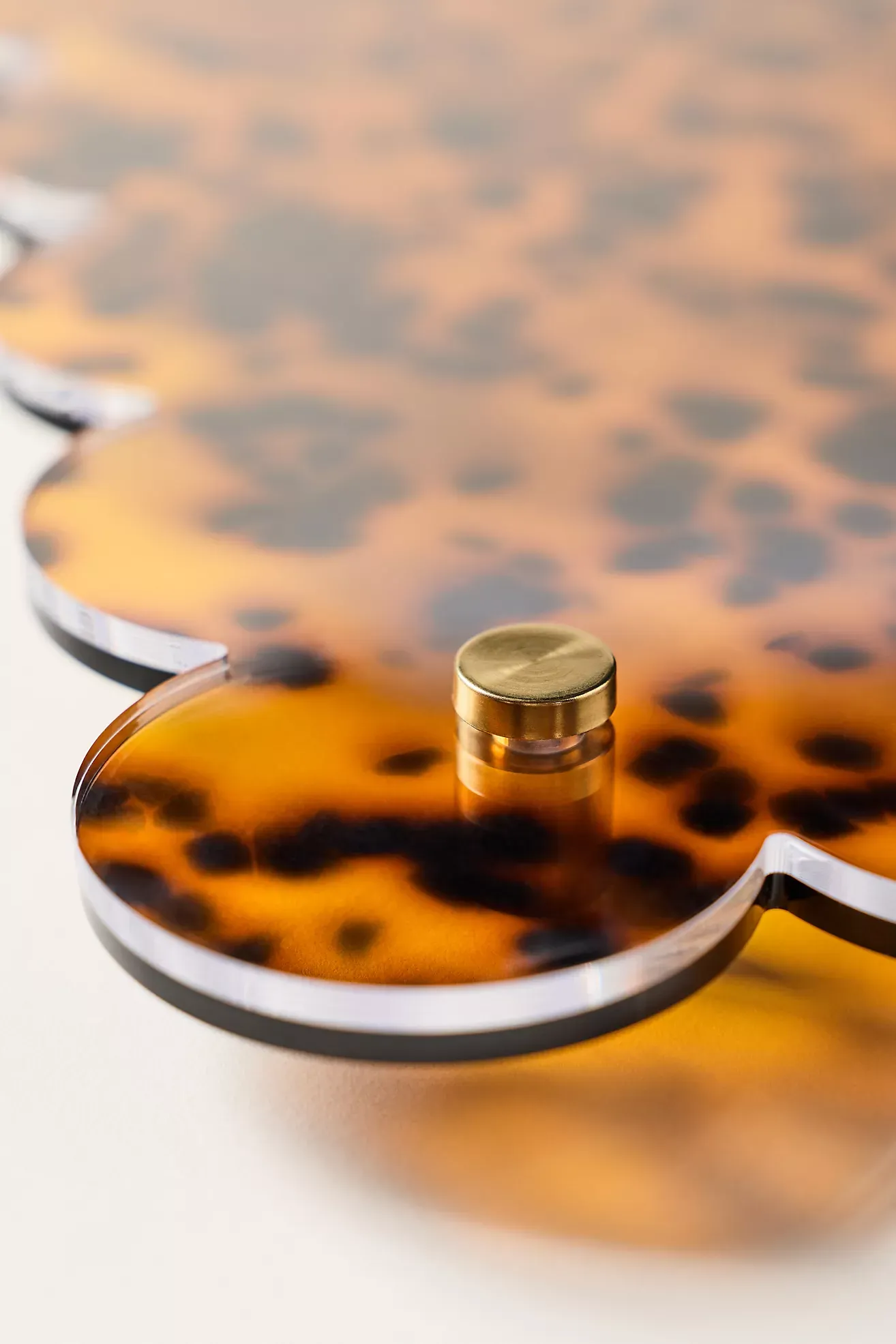 Tart by Taylor Scallop Acrylic Gallery Frame