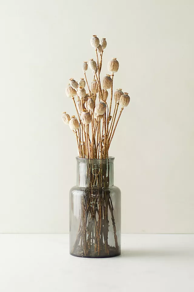 Dried Papaver Bunch