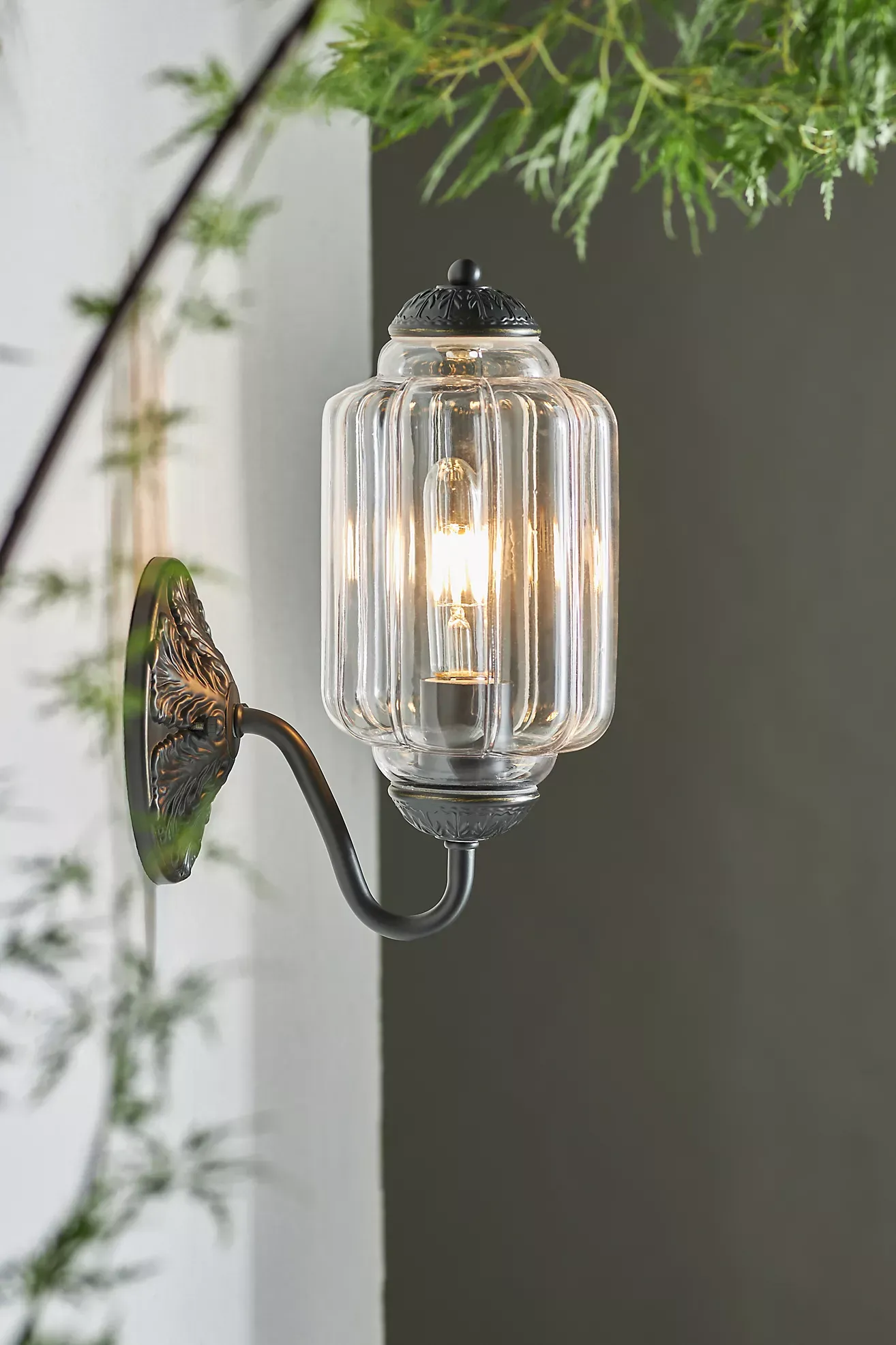 The Eloise Scallop Glass Indoor/Outdoor Sconce Wall Light