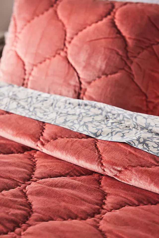 Claire Cotton Velvet Satin Quilt