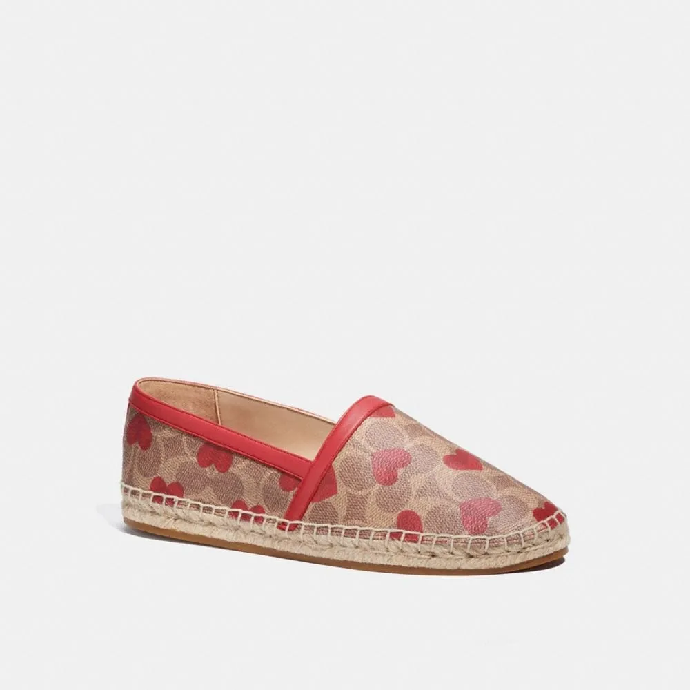 Fashion Shoes
