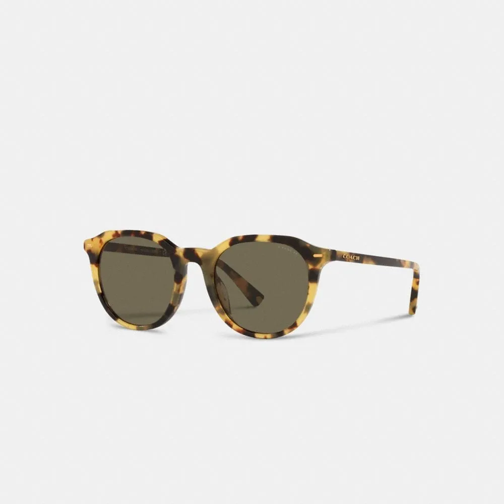 Fashion Sunglasses