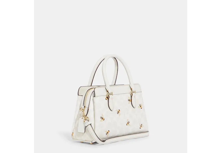 Classic handbags