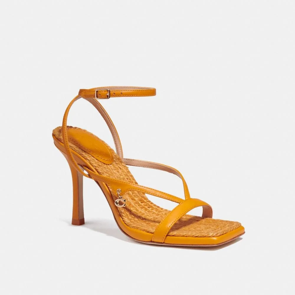Fashion Shoes