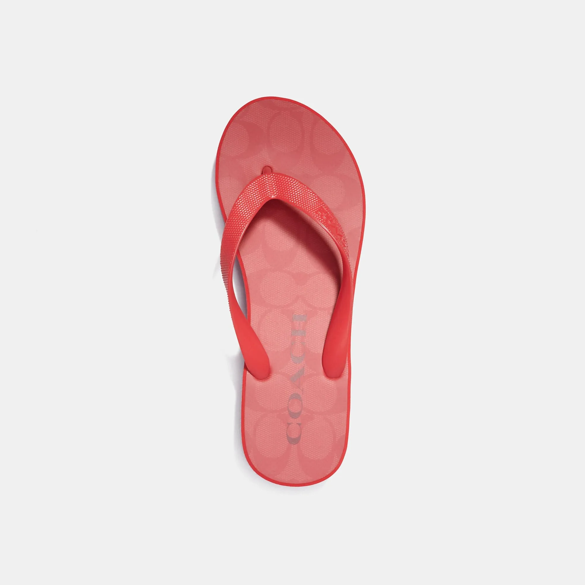 Fashion Shoes