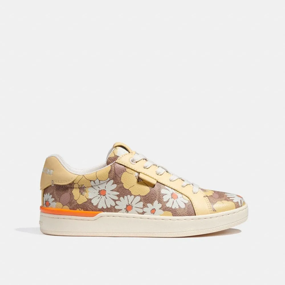 Fashion Shoes