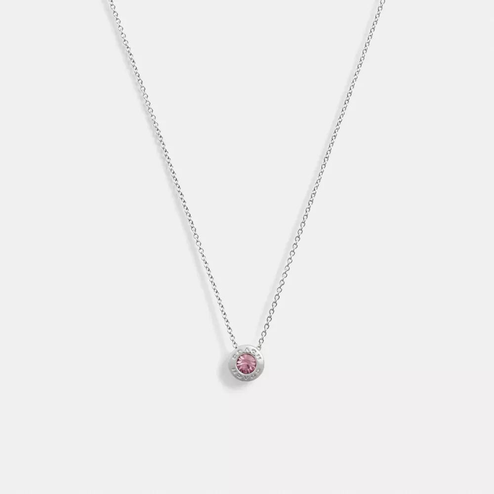 Open Circle Stone Necklace