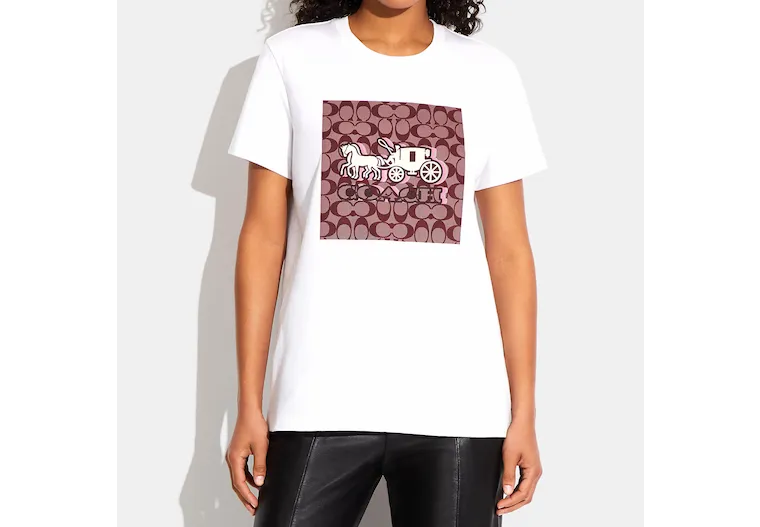 Fashion Clothing