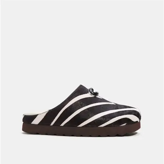 Fashion Shoes