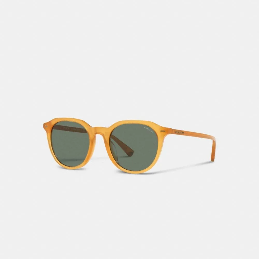 Fashion Sunglasses