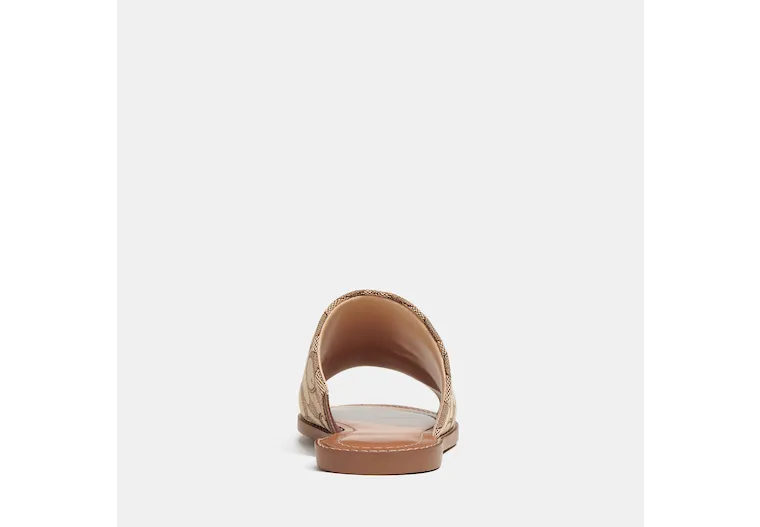 Fashion Shoes