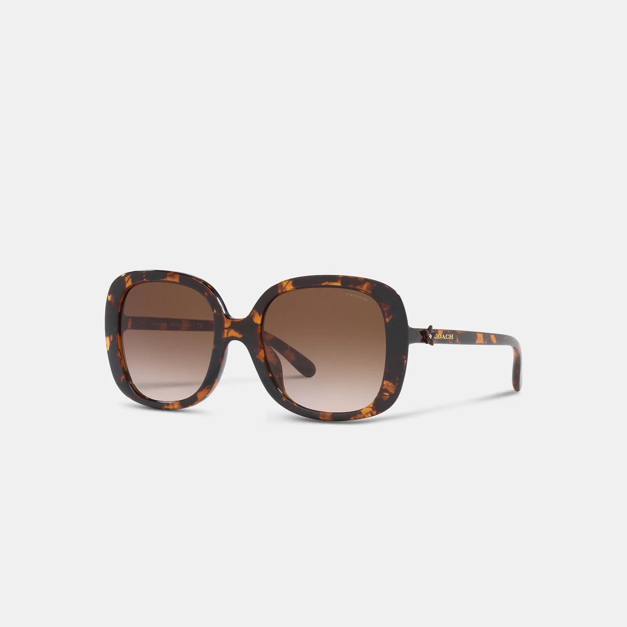 Fashion Sunglasses