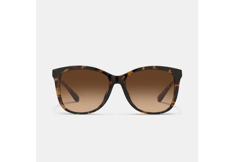 Fashion Sunglasses