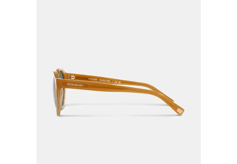 Fashion Sunglasses