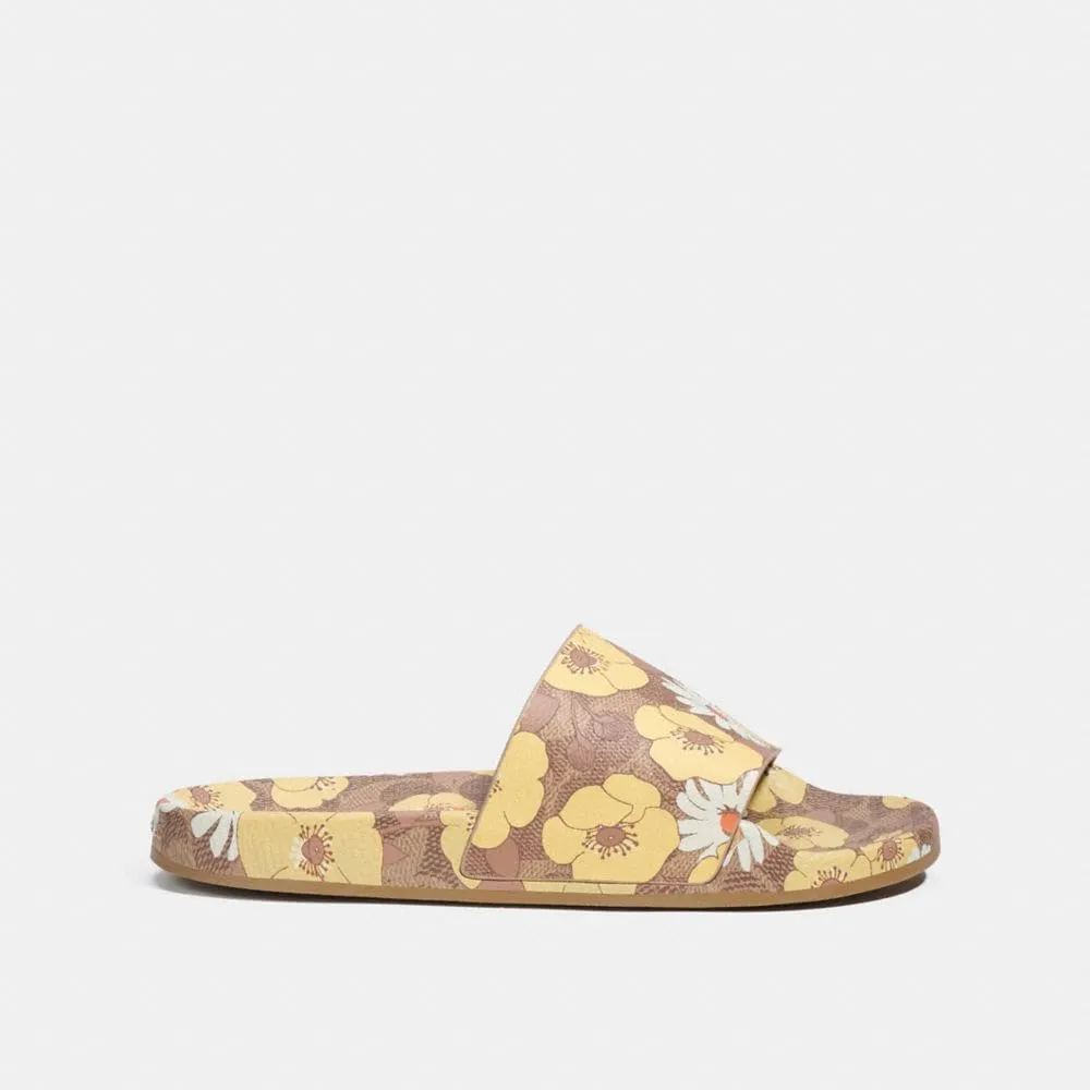 Fashion Shoes