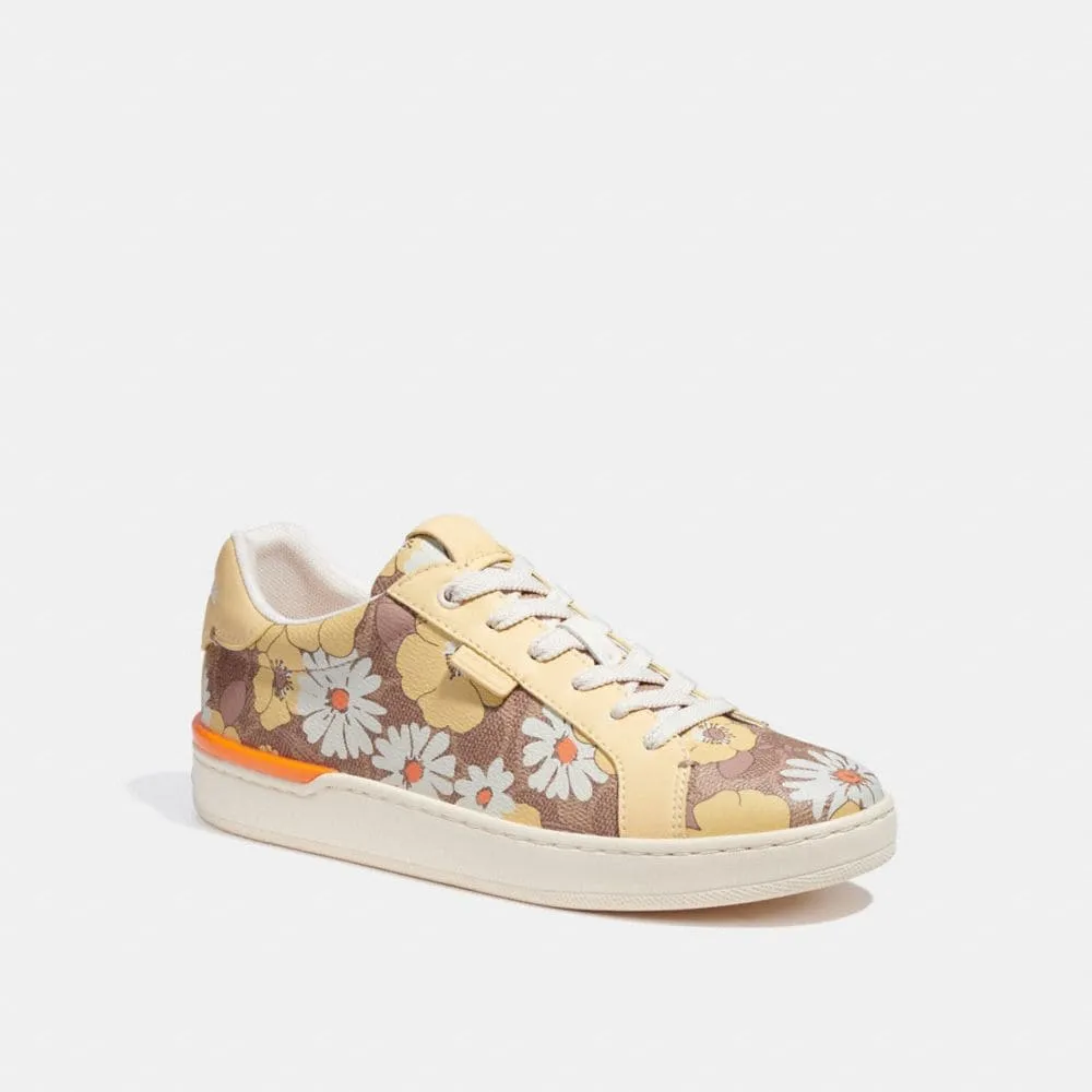 Fashion Shoes