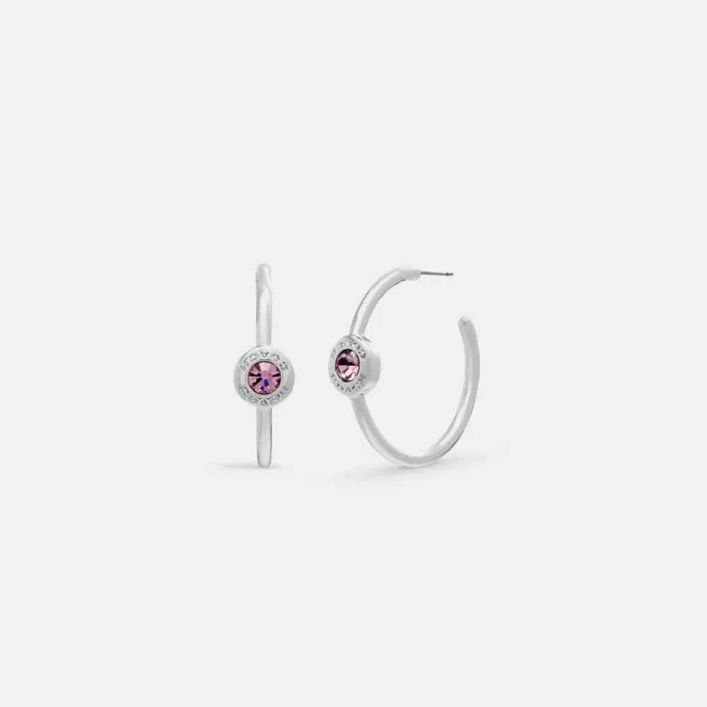 Open Circle Stone Hoop Earrings