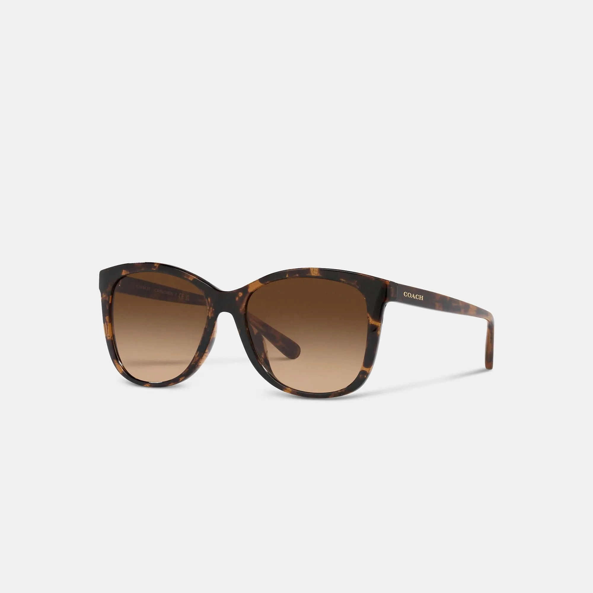 Fashion Sunglasses