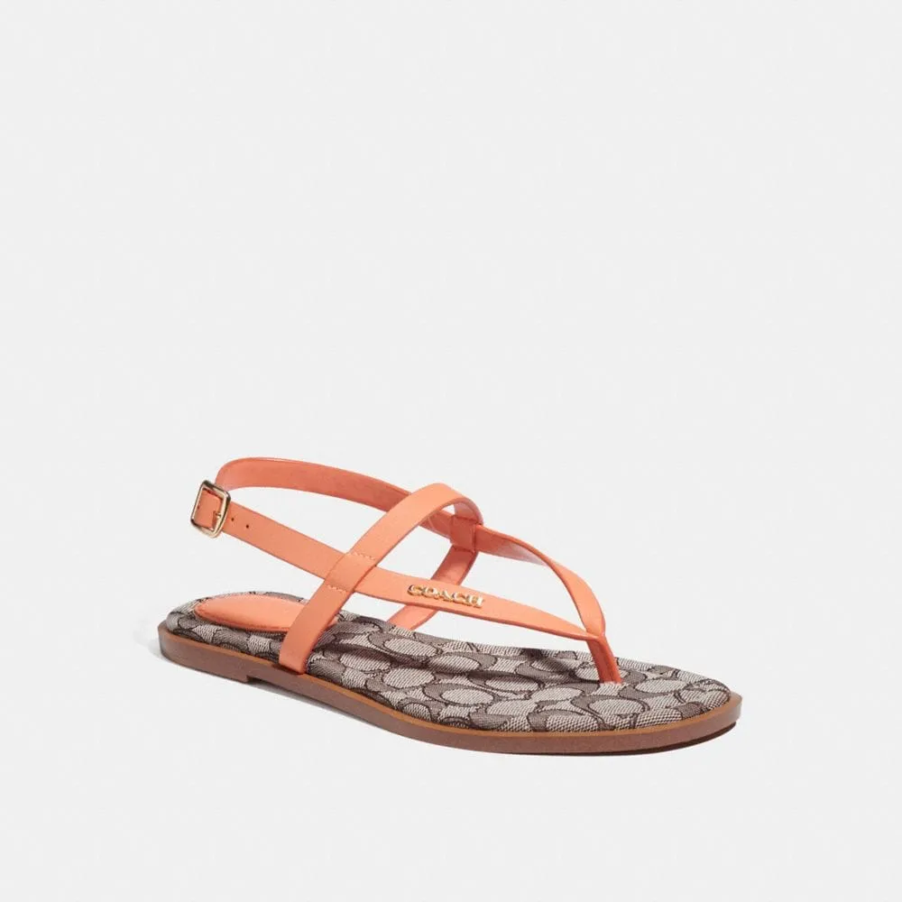 Fashion Shoes