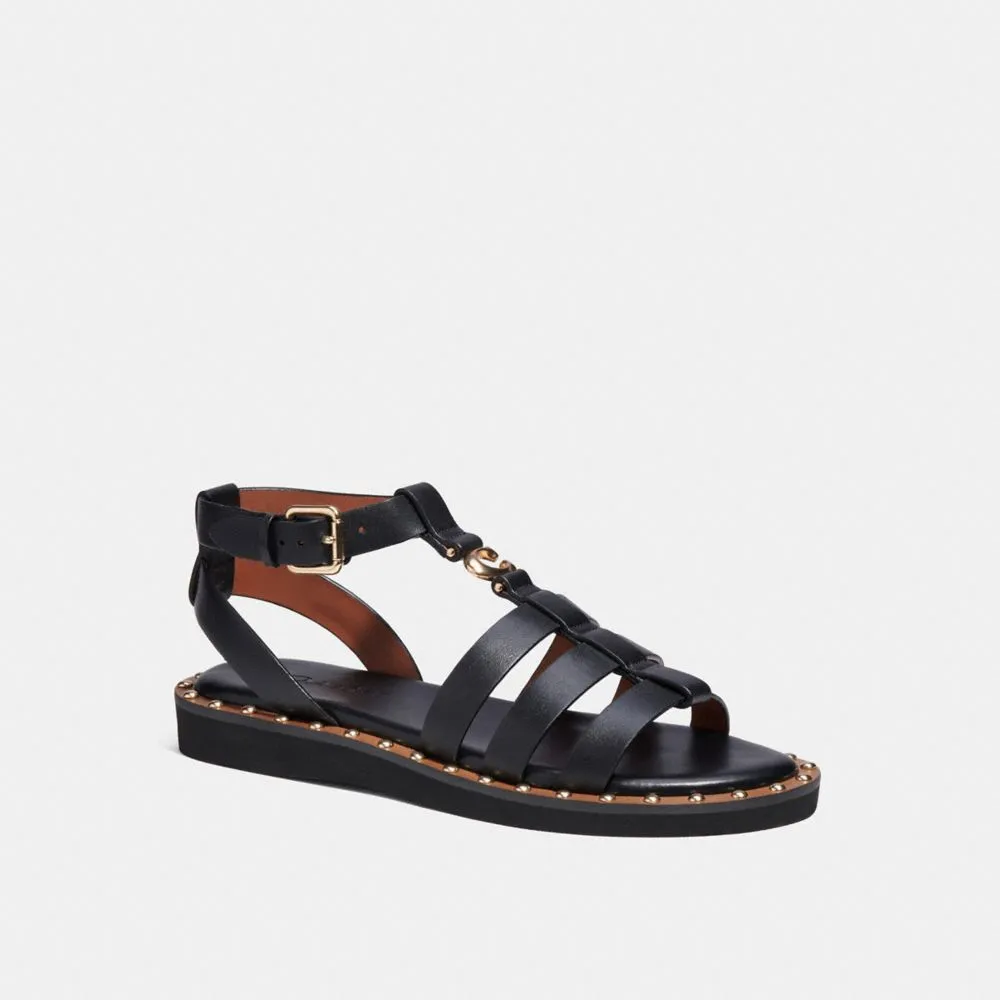 Fashion Shoes