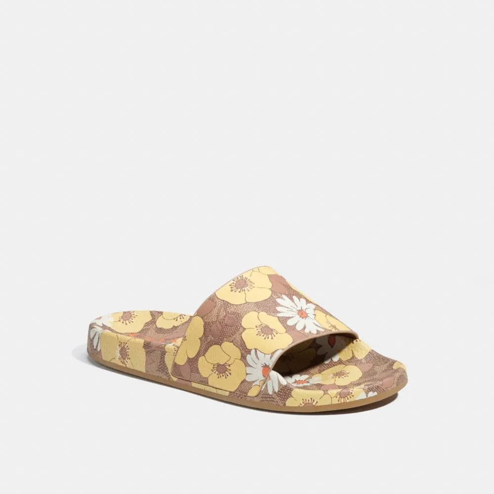 Fashion Shoes