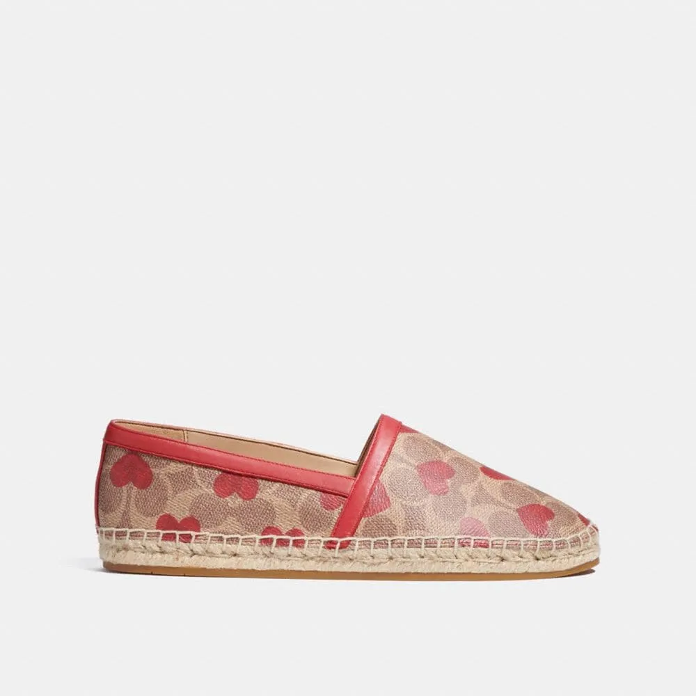 Fashion Shoes