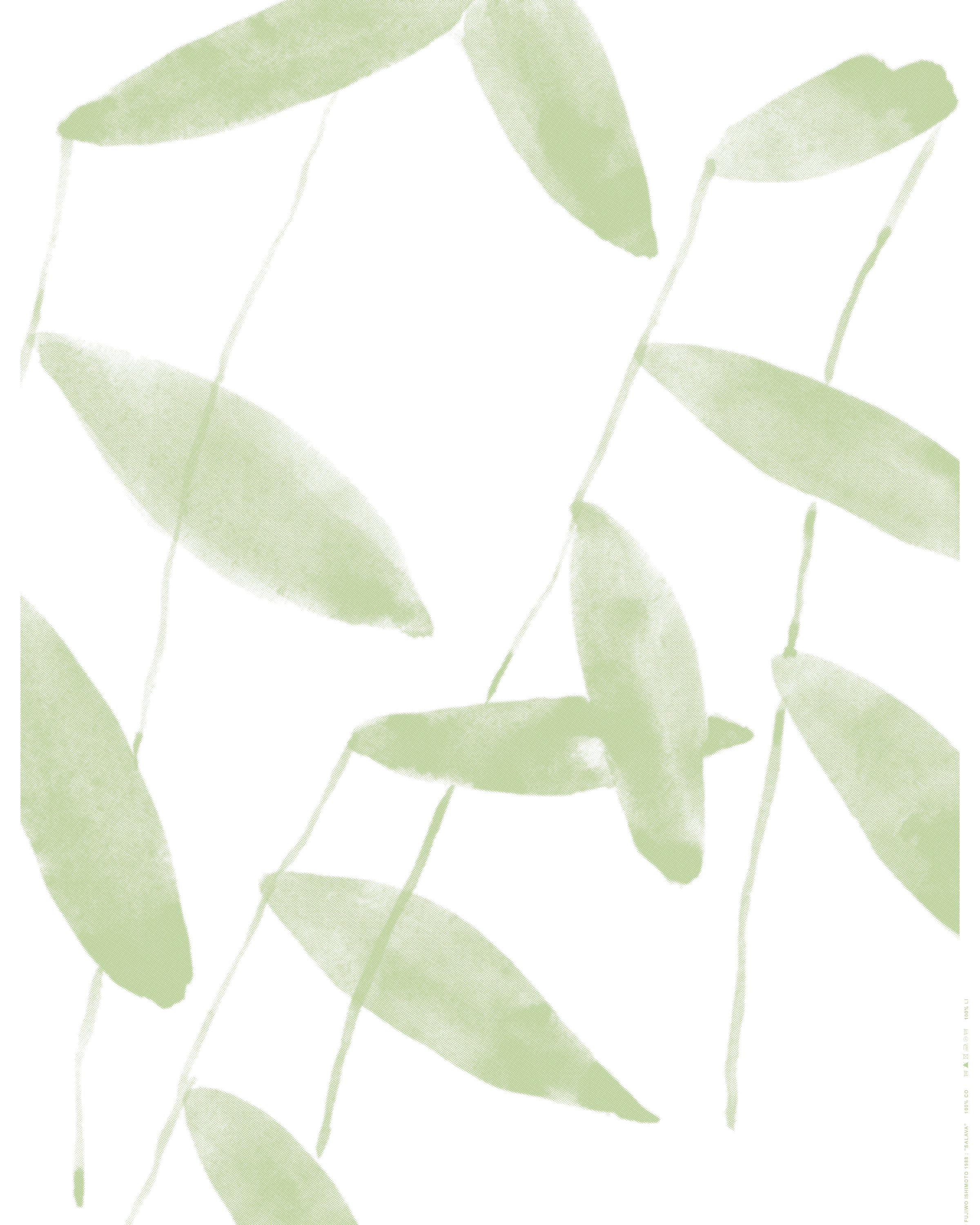 Salava Linen fabric