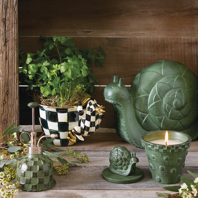 Pot Croaker Pot Climber