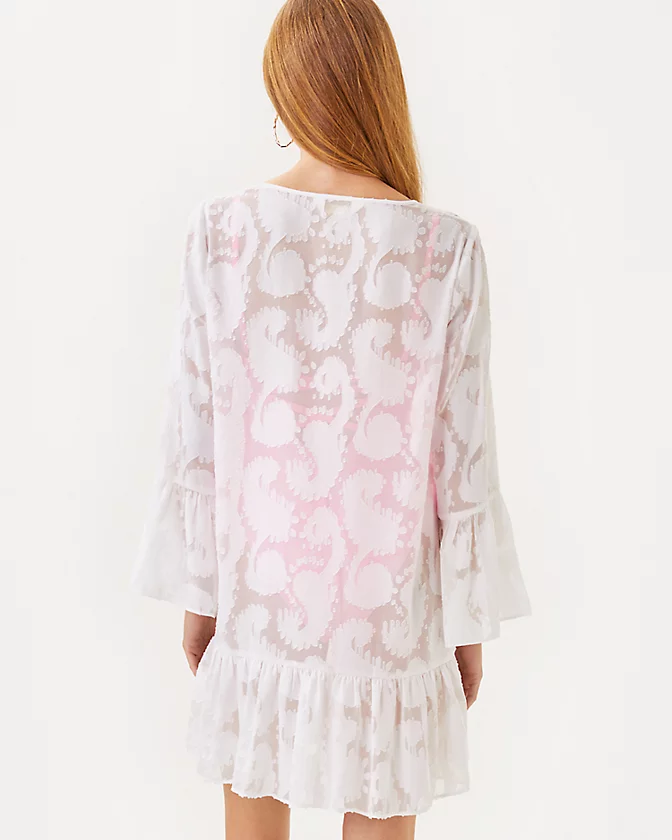 Shenzi Cover-Up