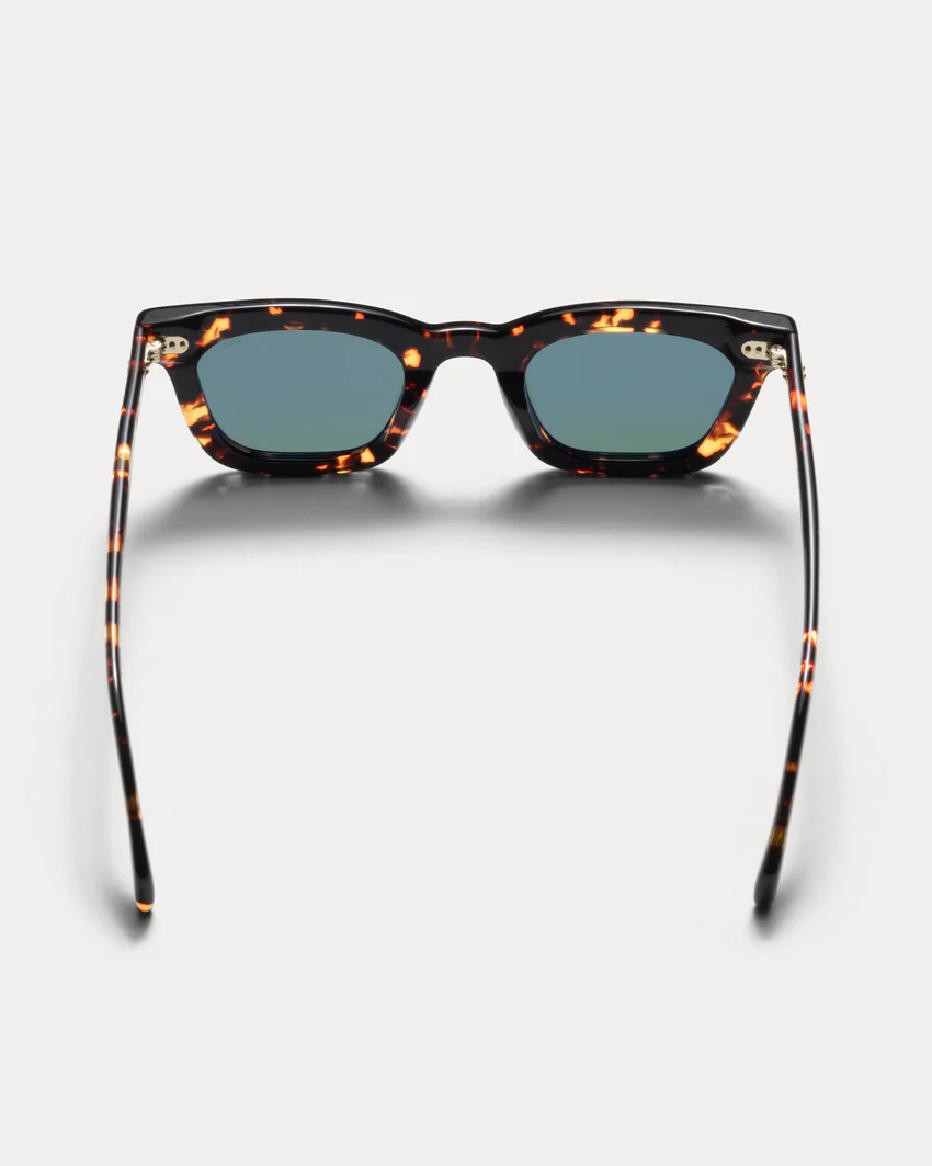 ACE SUNGLASSES