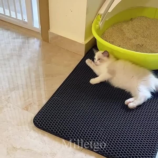 Non-Slip Cat Litter Mat