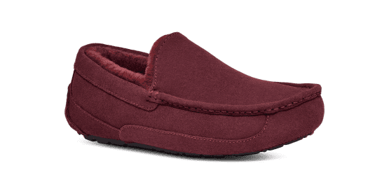 UGG® Ascot Slipper