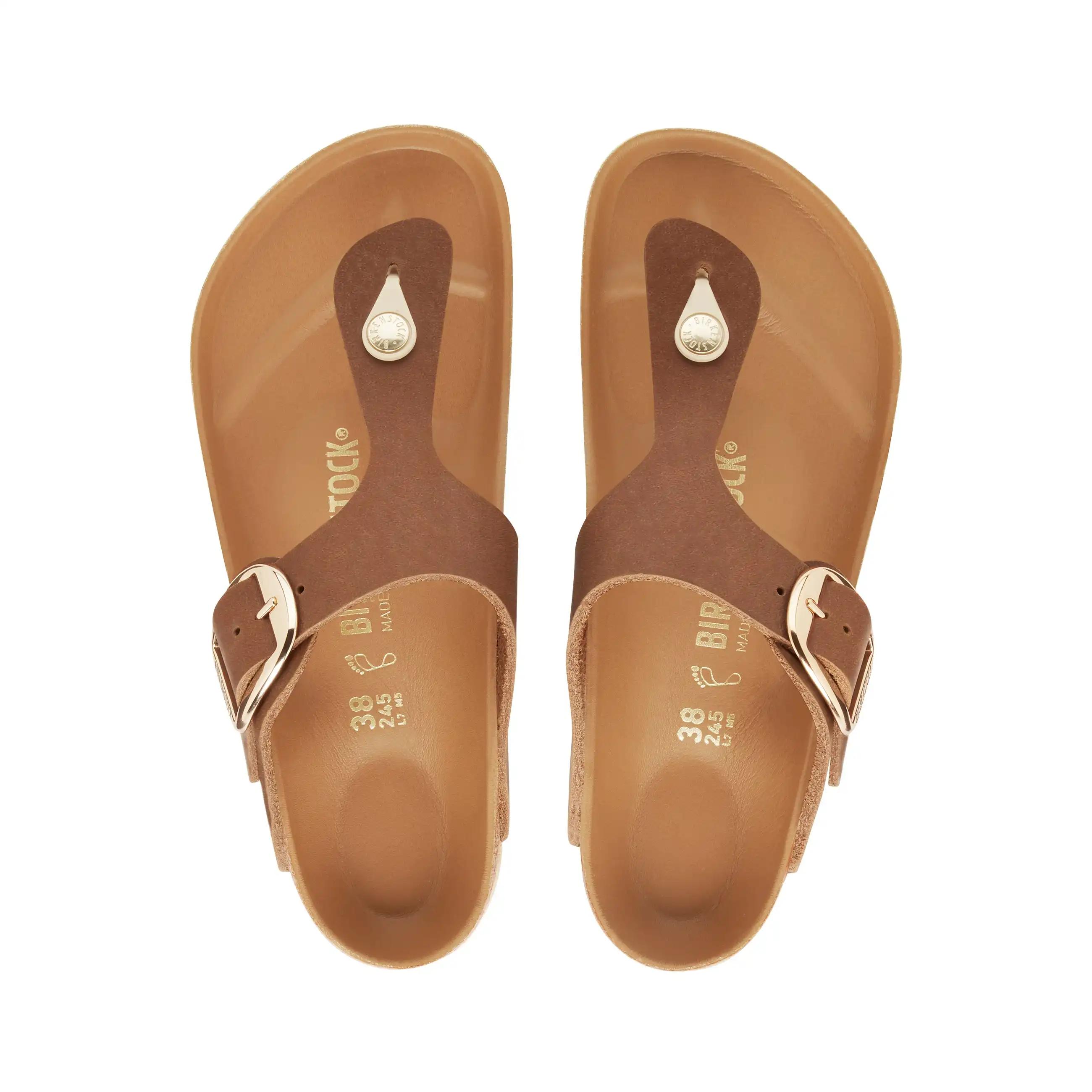 Gizeh Big Buckle Cognac Oiled Leather