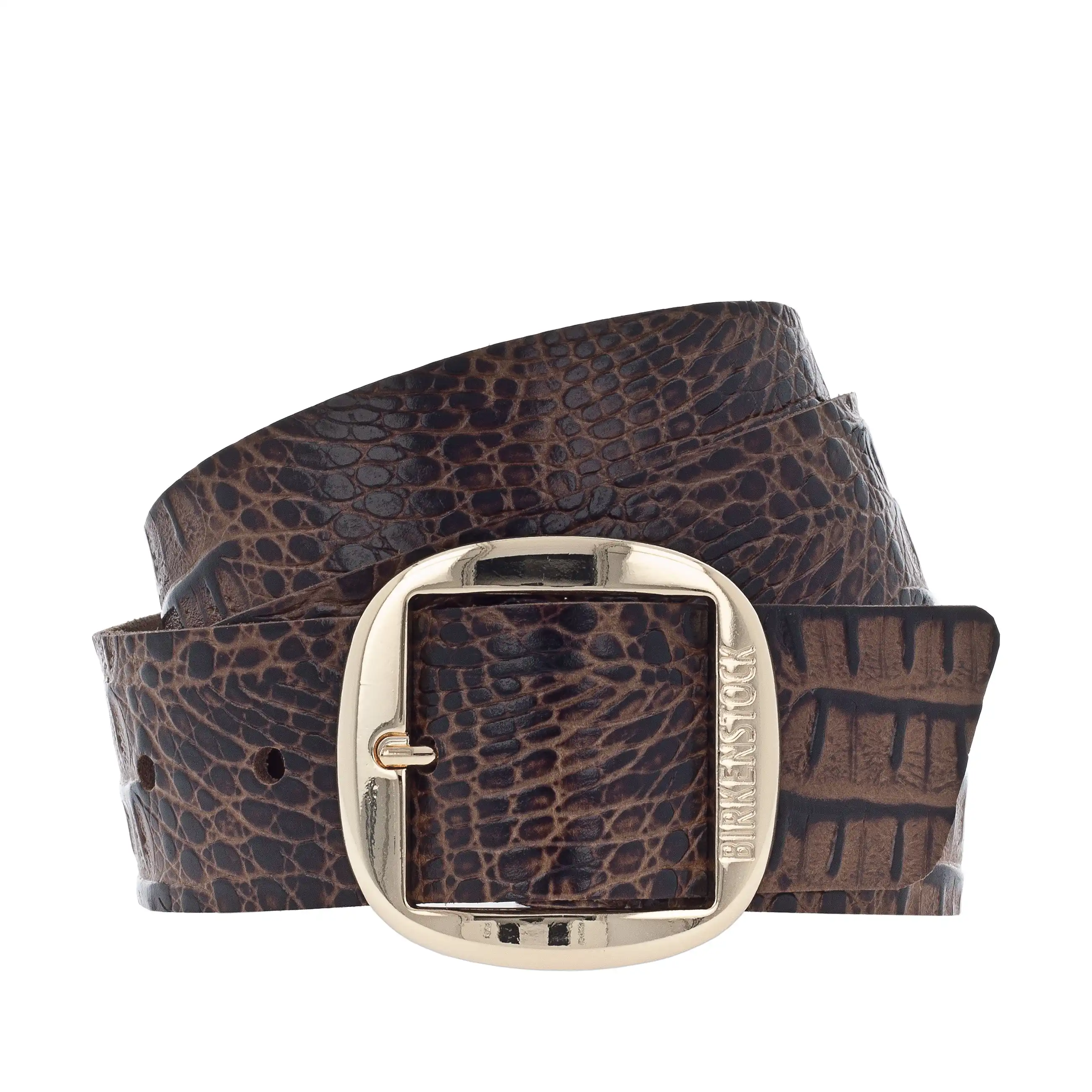 Knoxville 40mm Gator Brown