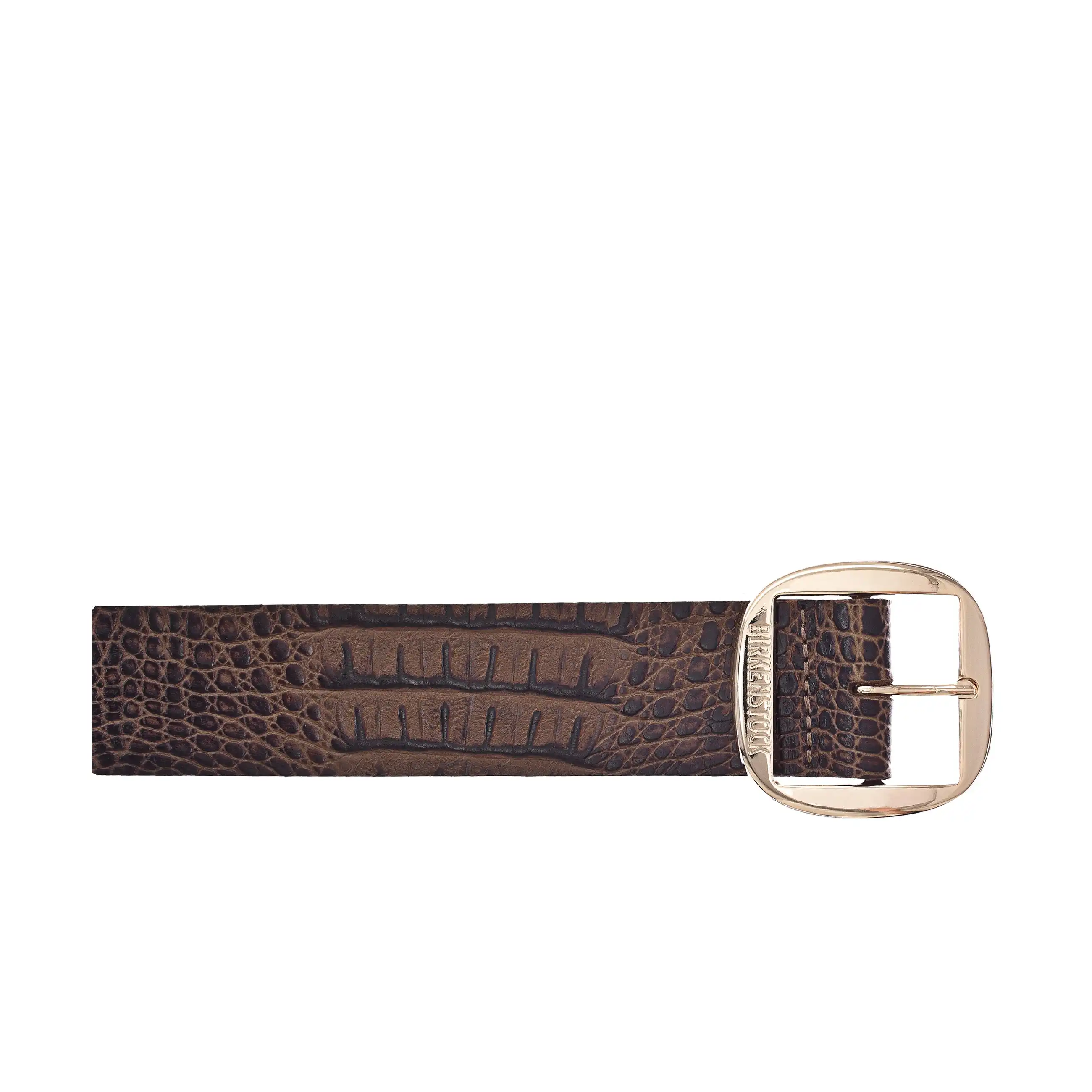 Knoxville 40mm Gator Brown