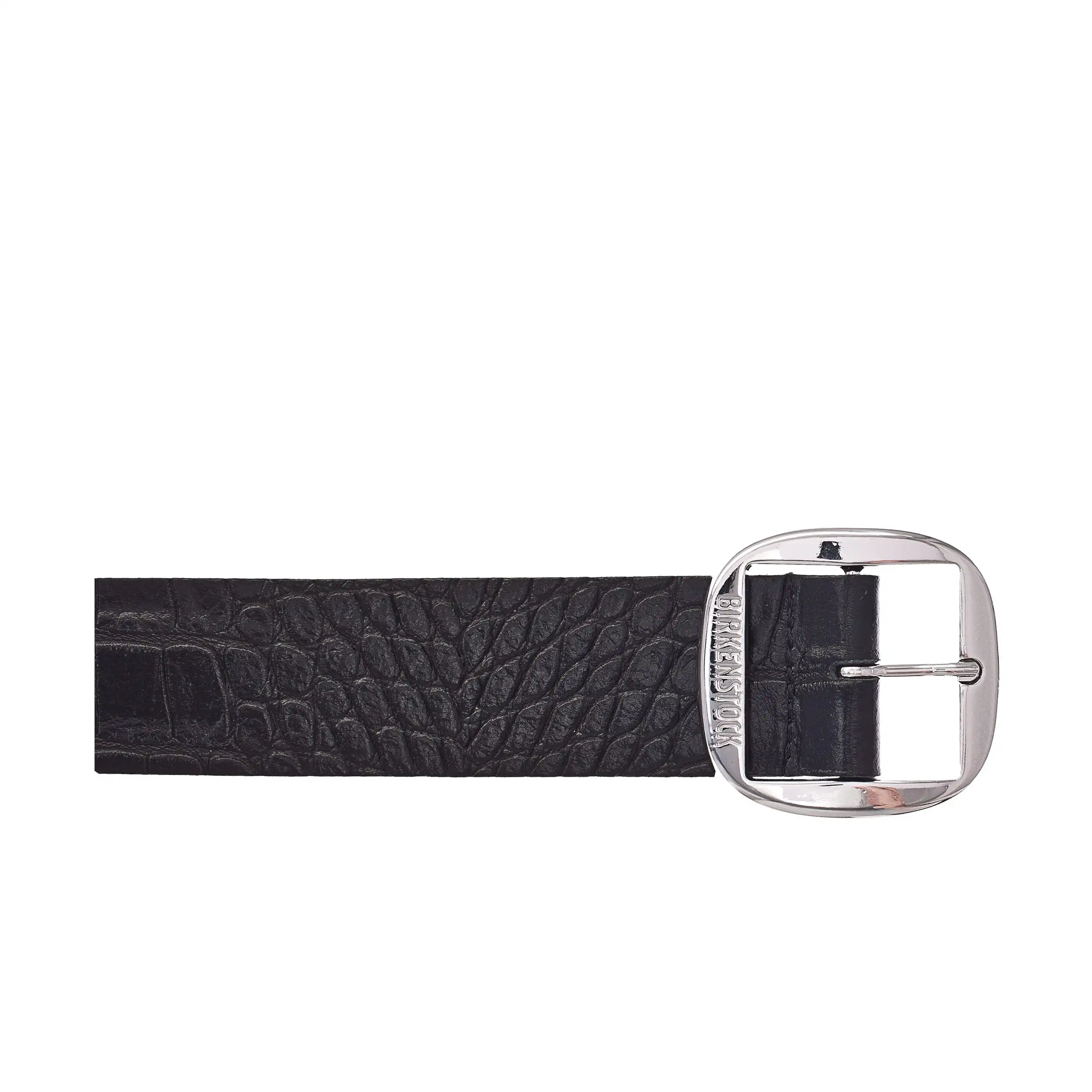 Knoxville 40mm Gator Anthracite