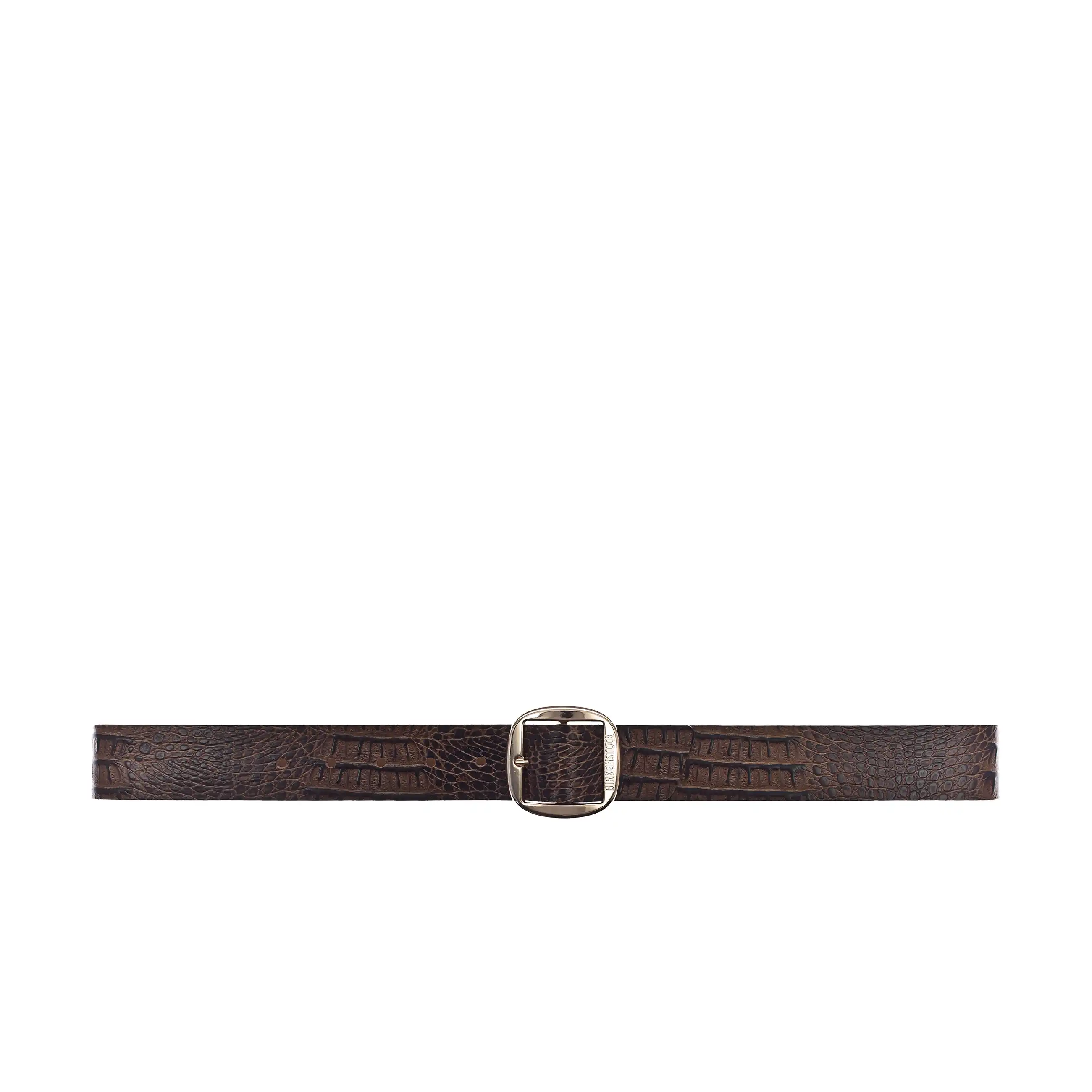 Knoxville 40mm Gator Brown