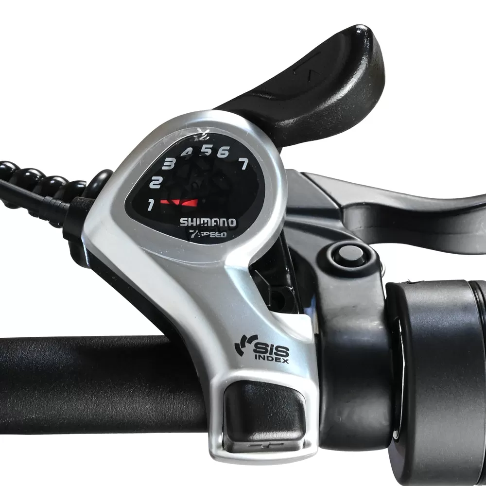 E-bike DP2620 All-in-one Tire 48V 13AH 750W Performance Motor