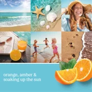 22 0z-Catching RaysTM