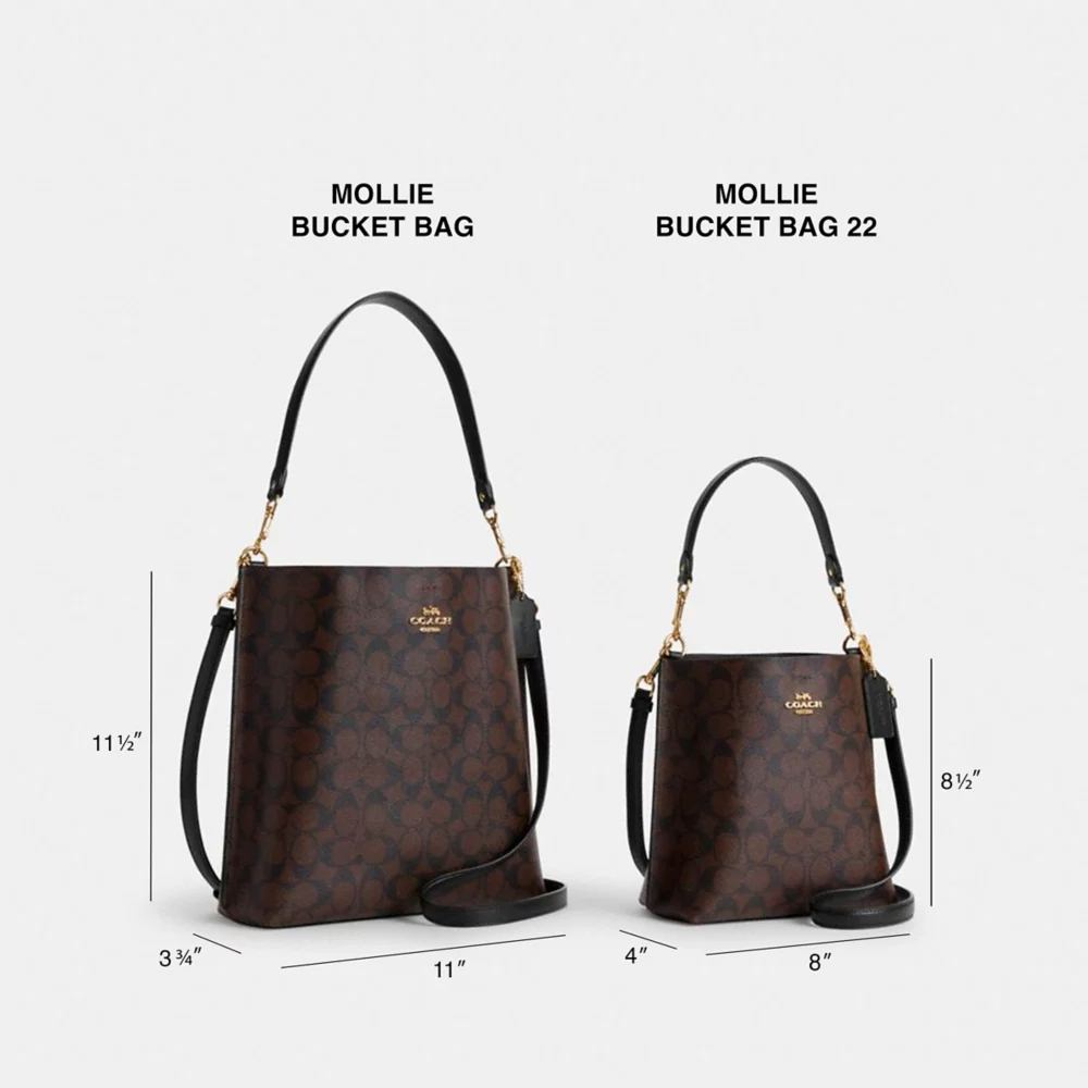 Mollie Bucket Bag 22 In Signature Canvas With Heart Print